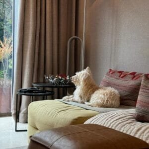 PHOTO-2025-01-18-13-49-14 3