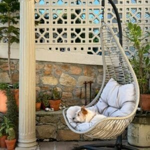 PHOTO-2025-01-18-13-49-20 4